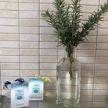 Tatil Evi Casa Ajaches